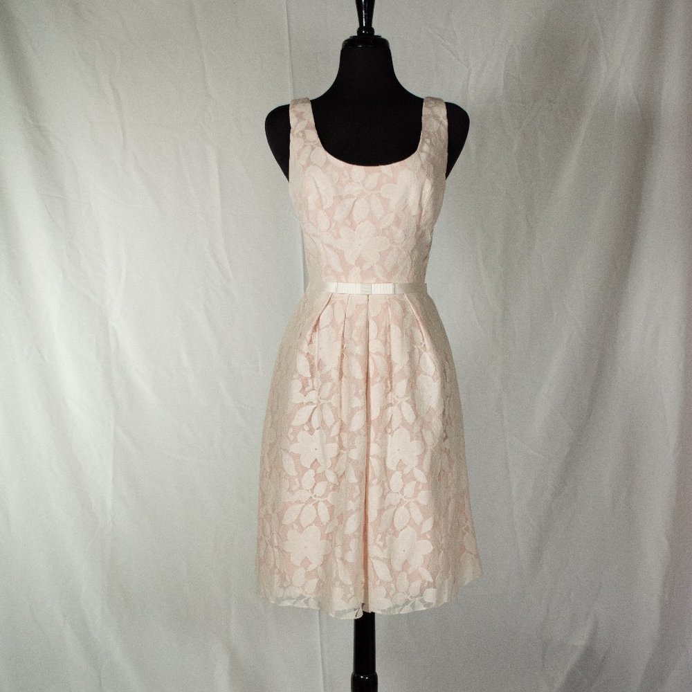 Social Bridesmaids by Dessy style 8155 in Bluch